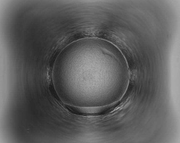 X0000094081202200710191415