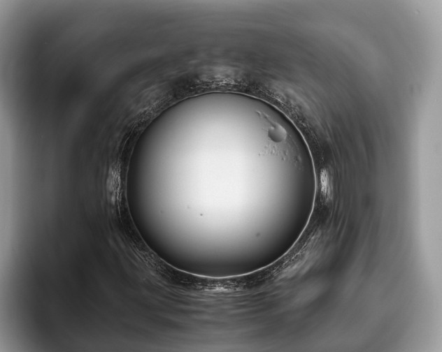 X0000094081203200710191415