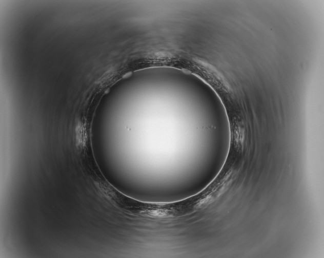 X0000094081204200710191415