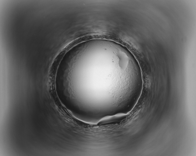 X0000094081208200710191415