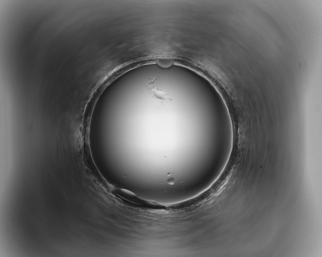 X0000094081212200710191415