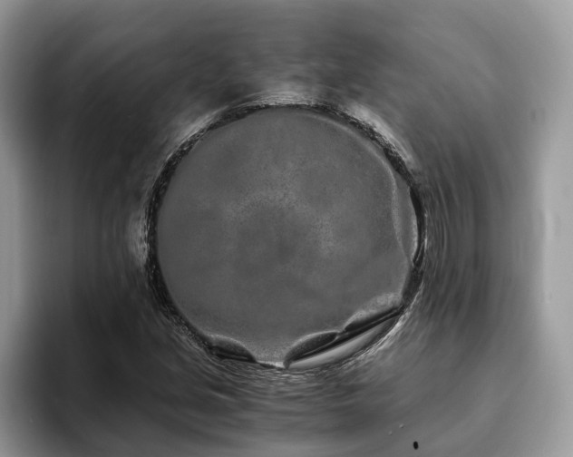 X0000094081213200710191415