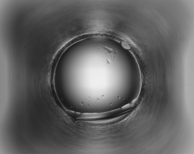 X0000094081216200710191415