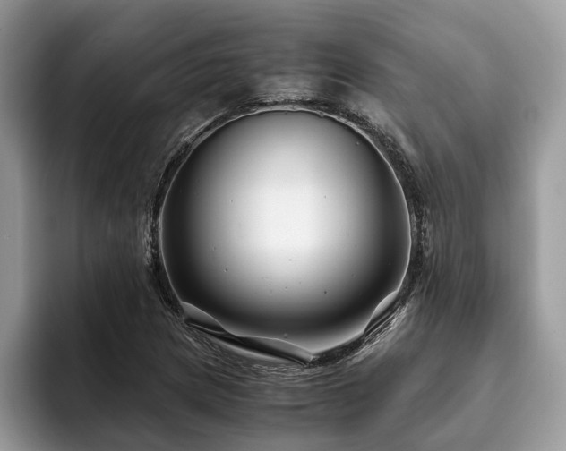 X0000094081217200710191415