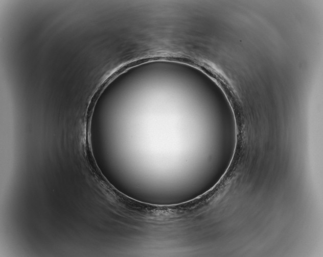 X0000094081220200710191415