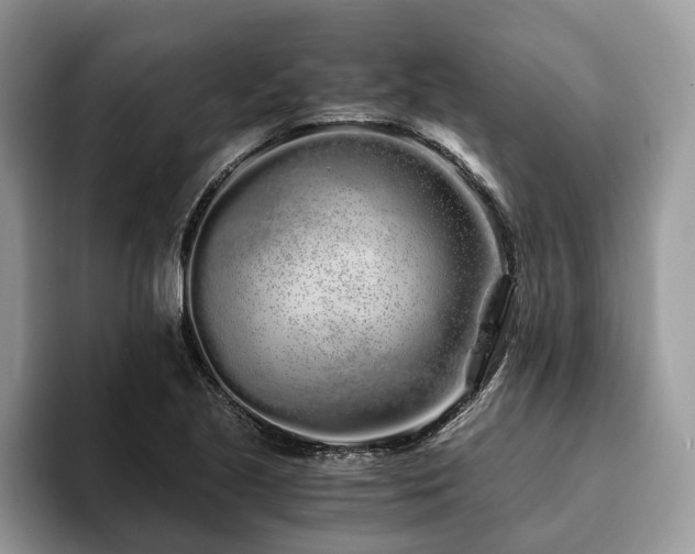 X0000094081221200710191415