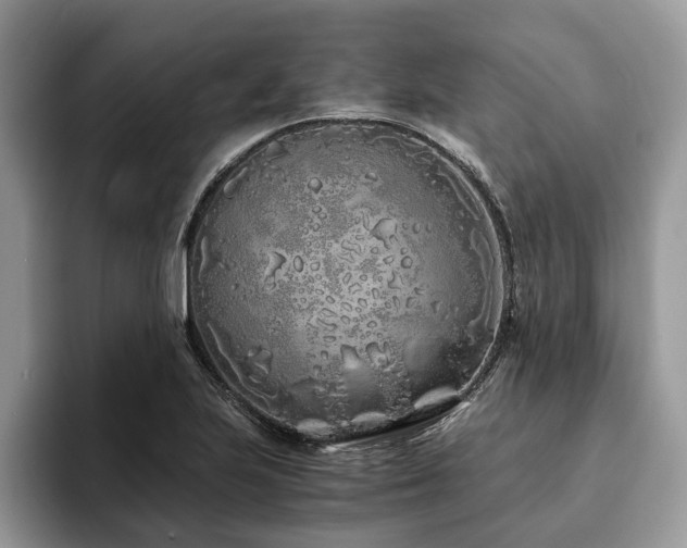 X0000094081223200710191415