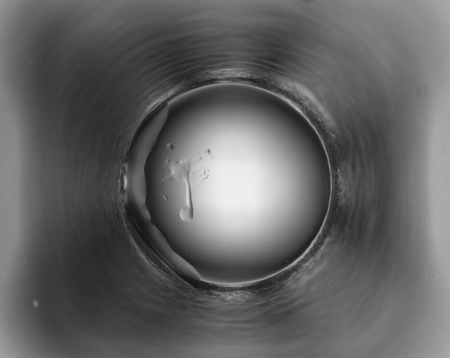 X0000094081225200710191415