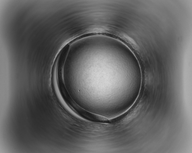 X0000094081226200710191415