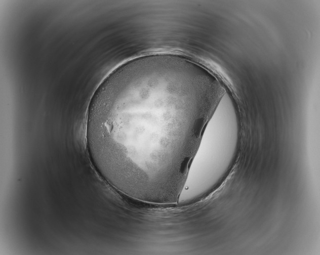 X0000094081228200710191415