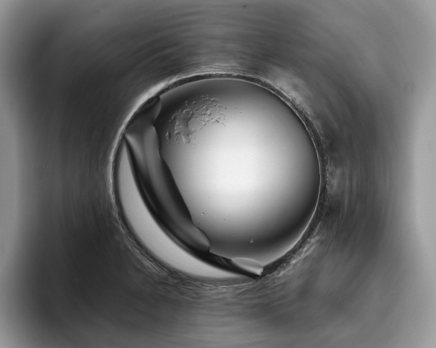 X0000094081230200710191415