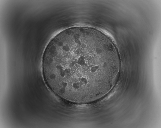 X0000094081231200710191415