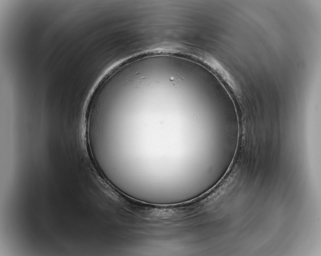 X0000094081232200710191415