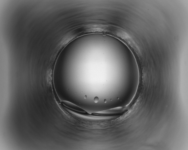 X0000094081233200710191415