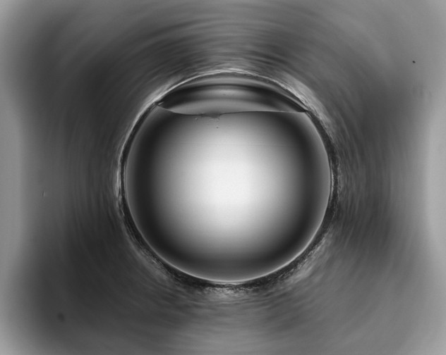 X0000094081234200710191415