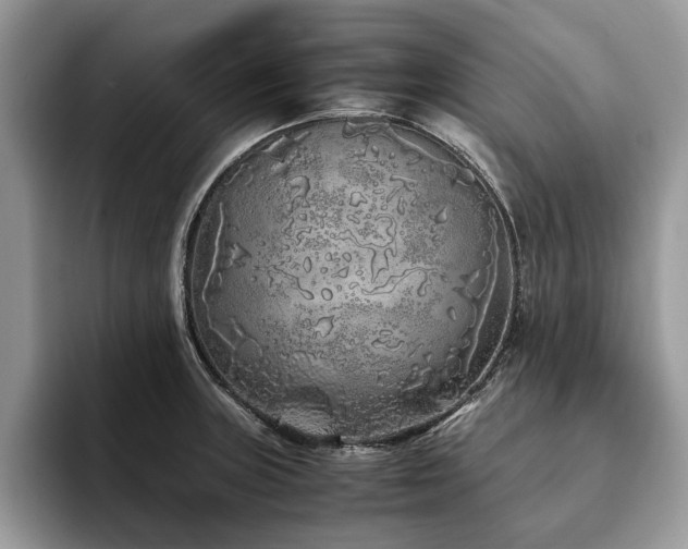 X0000094081235200710191415