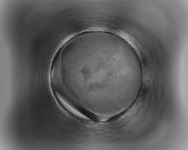 X0000094081237200710191415