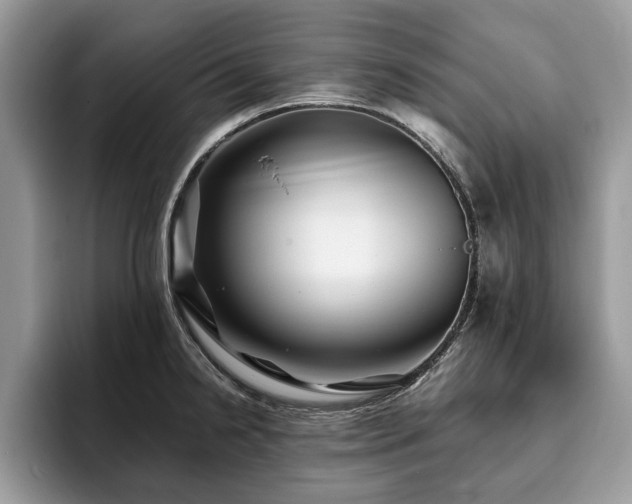 X0000094081238200710191415