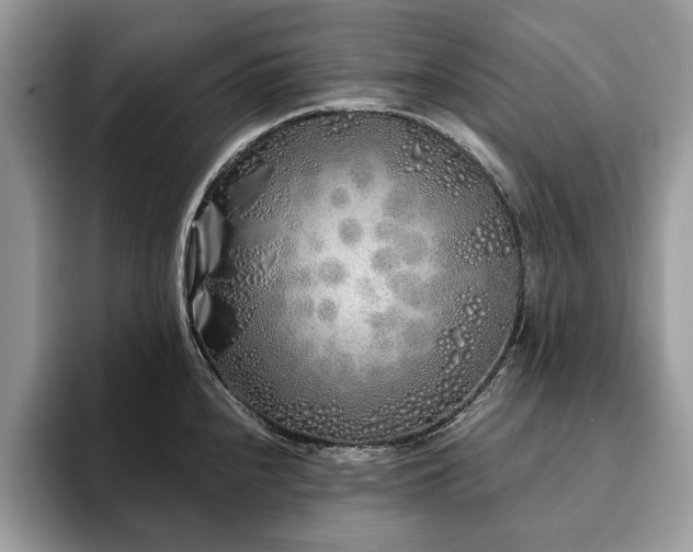 X0000094081240200710191415