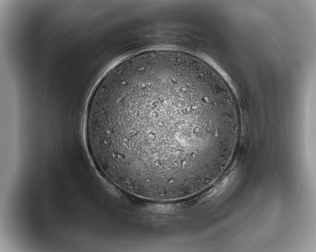 X0000094081245200710191416