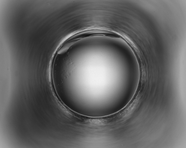 X0000094081246200710191416