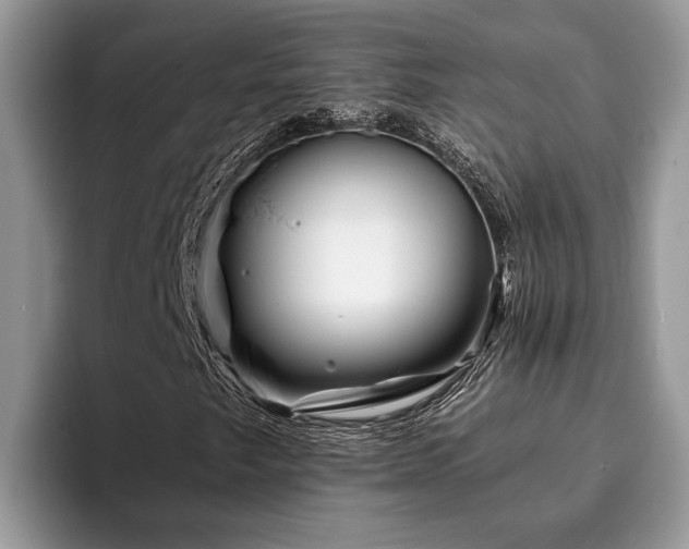 X0000094081249200710191415