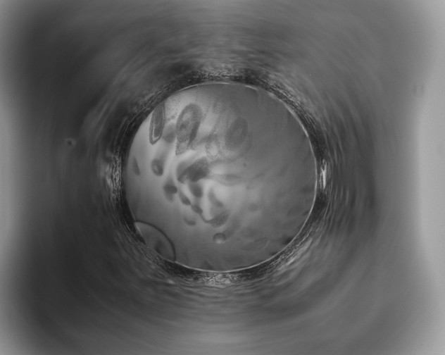 X0000094081251200710191415