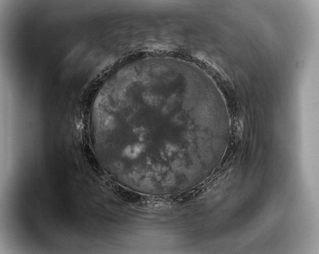 X0000094081254200710191415