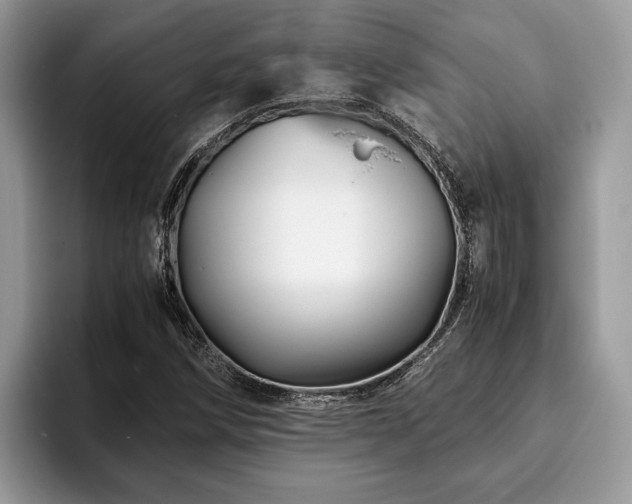 X0000094081258200710191415