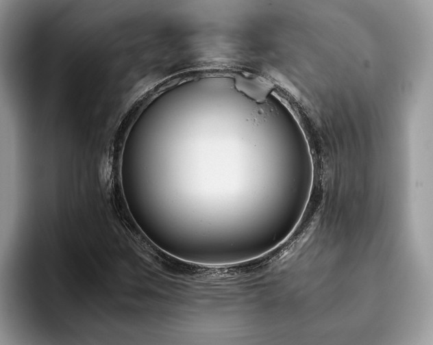 X0000094081259200710191415