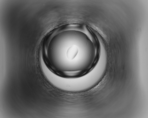 X0000094081261200710191415