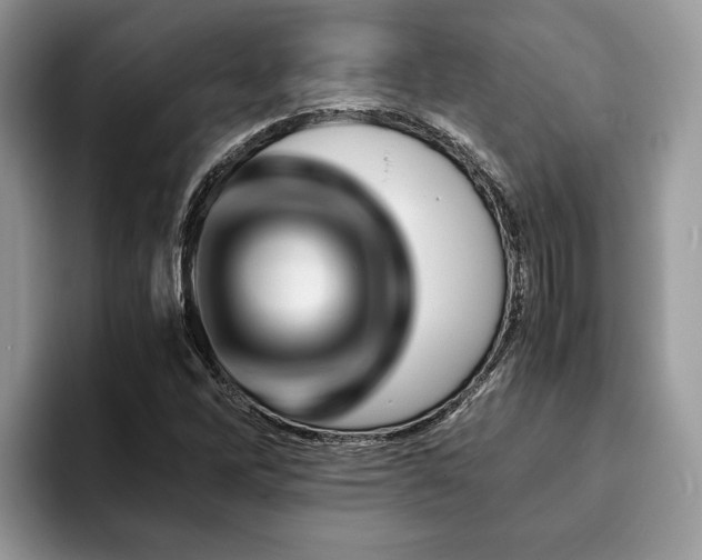 X0000094081262200710191415