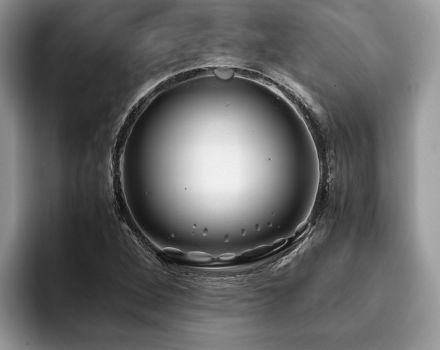 X0000094081264200710191415