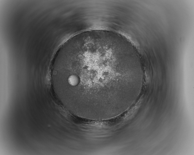 X0000094081266200710191415