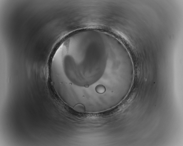 X0000094081267200710191415