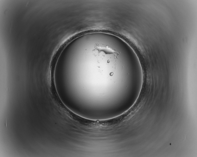 X0000094081270200710191415