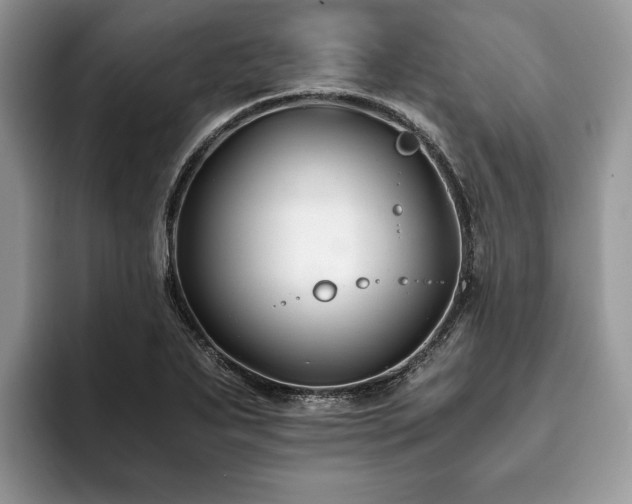 X0000094081271200710191415