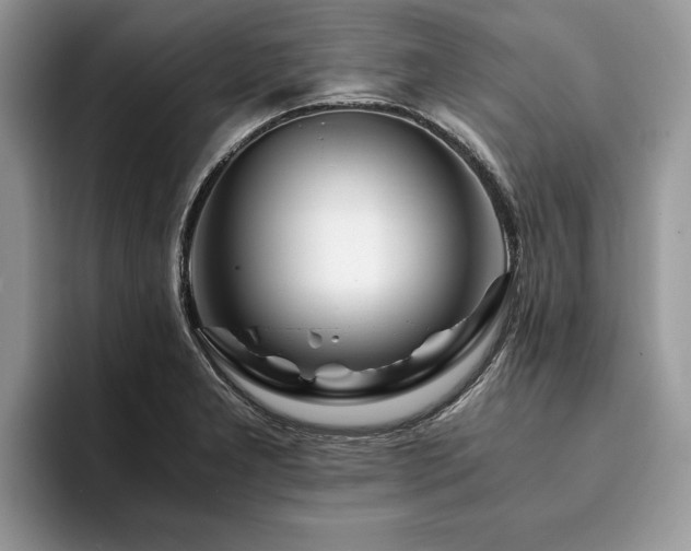 X0000094081277200710191415