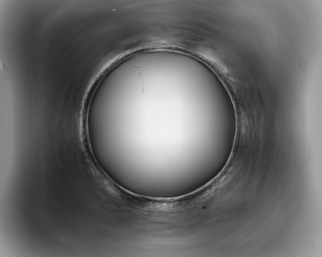 X0000094081278200710191415