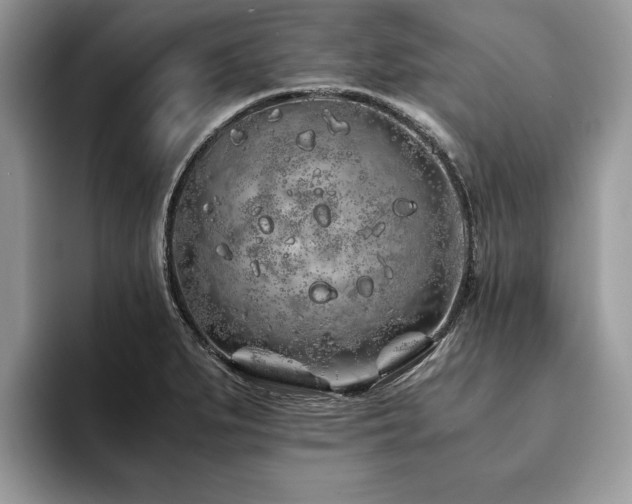 X0000094081279200710191415