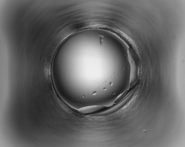 X0000094081281200710191415