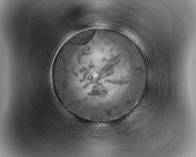 X0000094081283200710191415