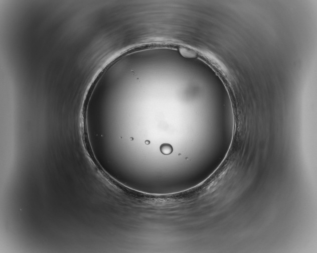 X0000094081287200710191415