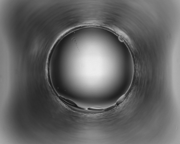 X0000094081288200710191415