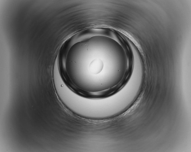 X0000094081289200710191415