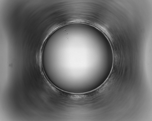 X0000094081290200710191415