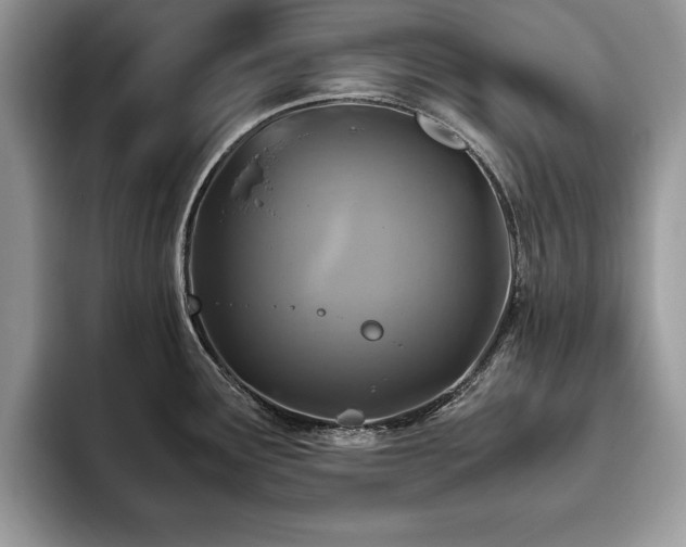 X0000094081291200710191415