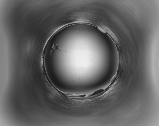 X0000094081292200710191414