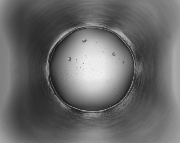 X0000094081294200710191414