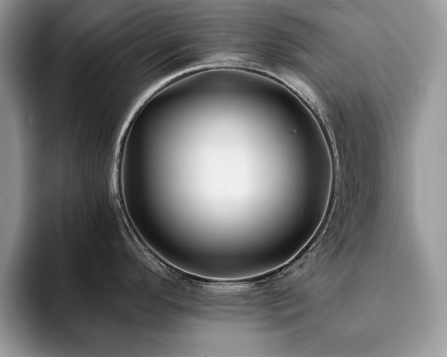 X0000094081296200710191414